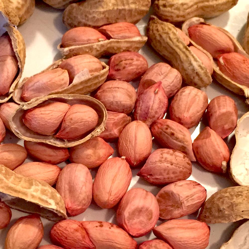 Peanuts