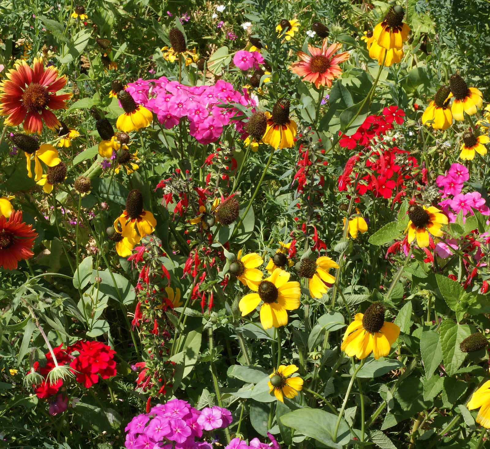 Flower Mixes