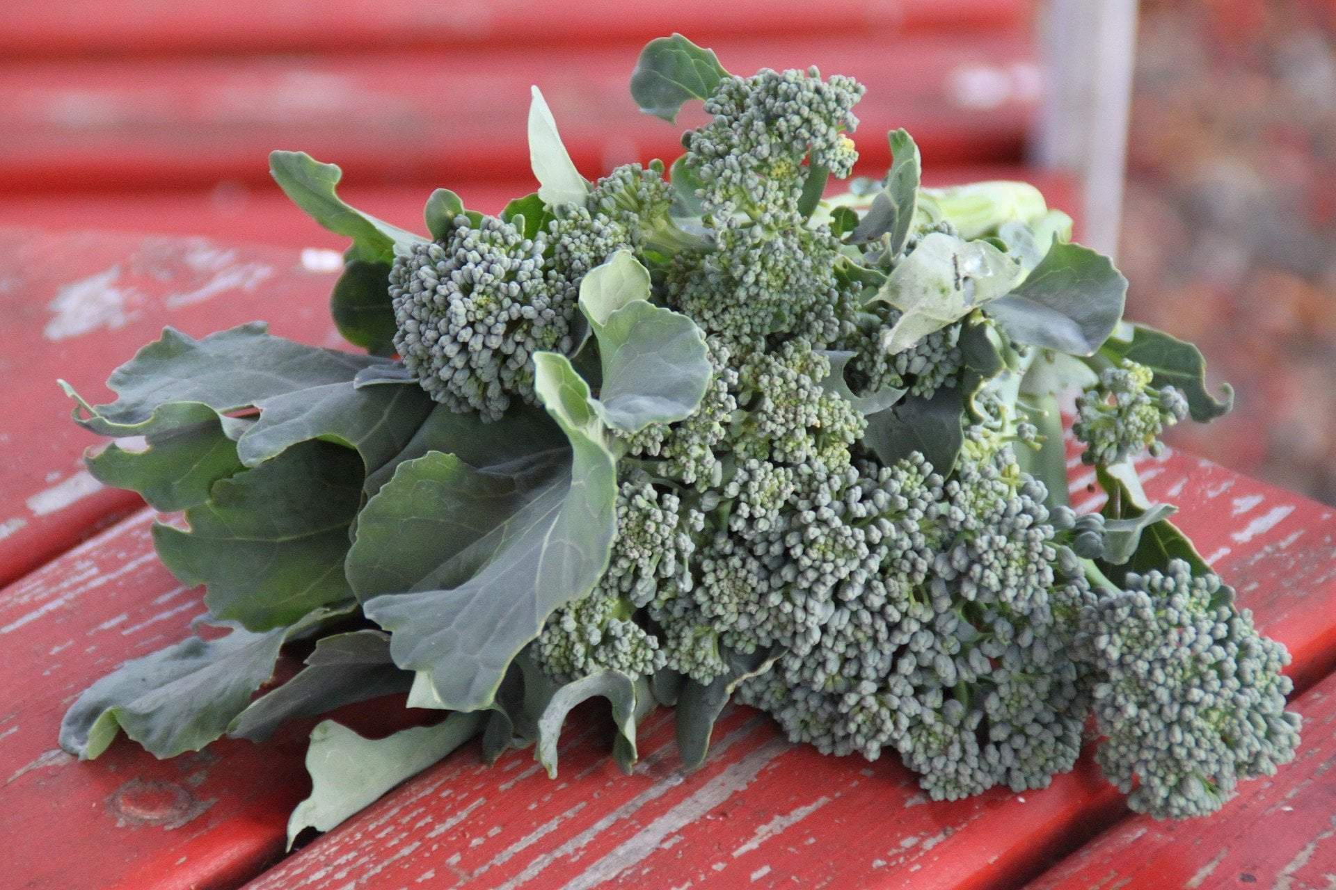 Broccoli Raab