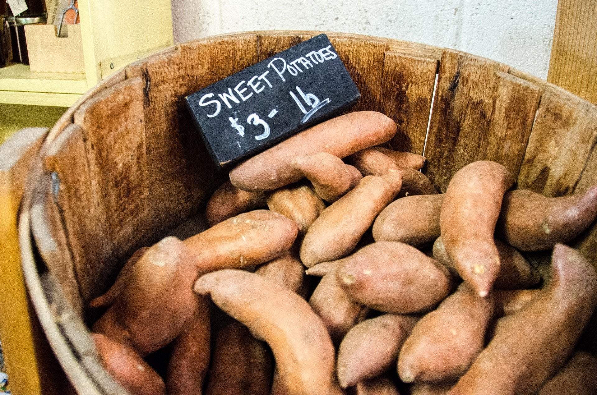 Sweet Potato Slips