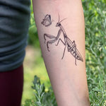 NatureTats Temporary Tattoos - Sow True Seed