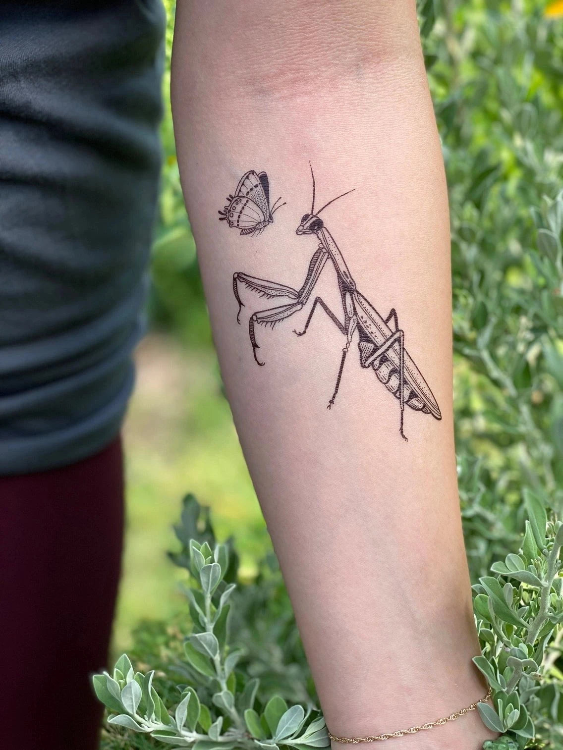NatureTats Temporary Tattoos - Sow True Seed
