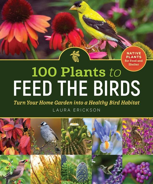 100 Plants to Feed the Birds - Sow True Seed