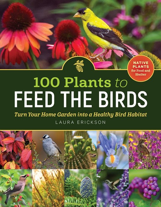 100 Plants to Feed the Birds - Sow True Seed
