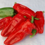 Hot Pepper Seeds - Aleppo - Sow True Seed