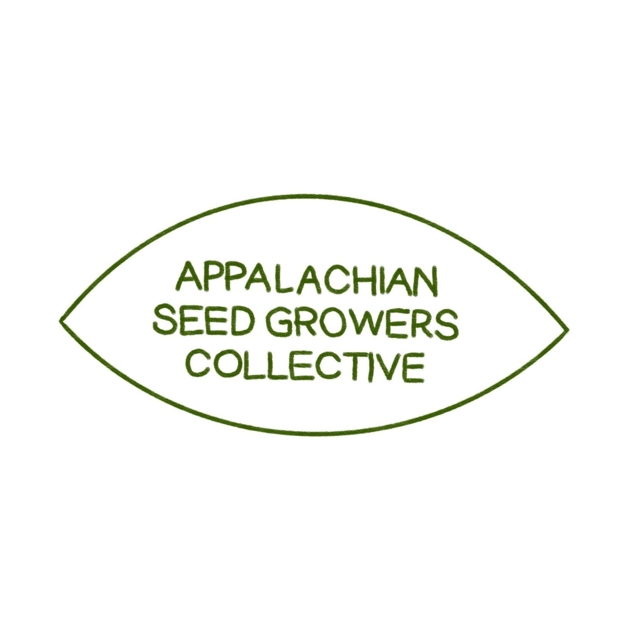 Sorghum Seeds - Coral - Sow True Seed