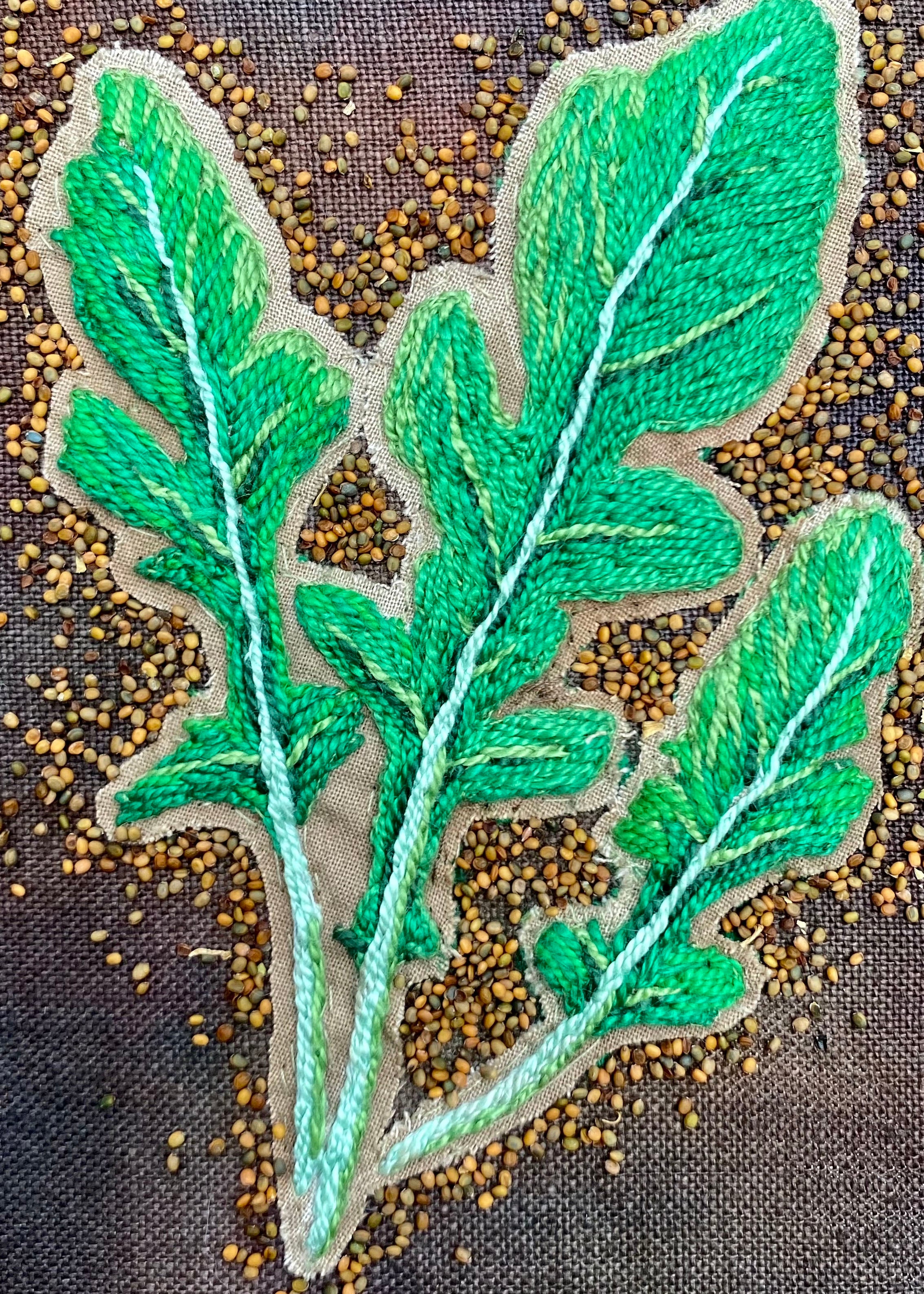 Arugula Seeds - Arugula - Sow True Seed