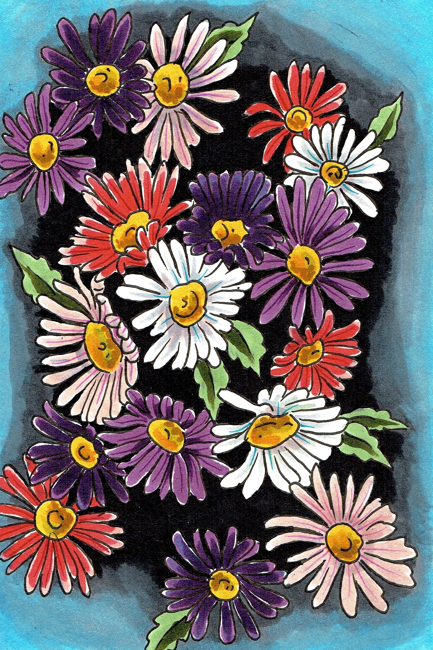 aster flower from seed Flower Seeds - Aster, Single Rainbow | HEIRLOOM