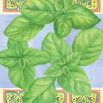Basil Seeds - Genovese - Sow True Seed