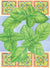 Basil Seeds - Genovese