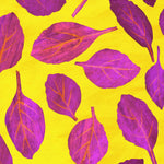 Basil Seeds - Purple Dark Opal, ORGANIC - Sow True Seed