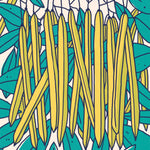 Bush Bean Seeds - Cherokee Wax - Sow True Seed