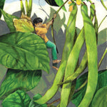 Pole Bean Seeds - Kentucky Wonder - Sow True Seed