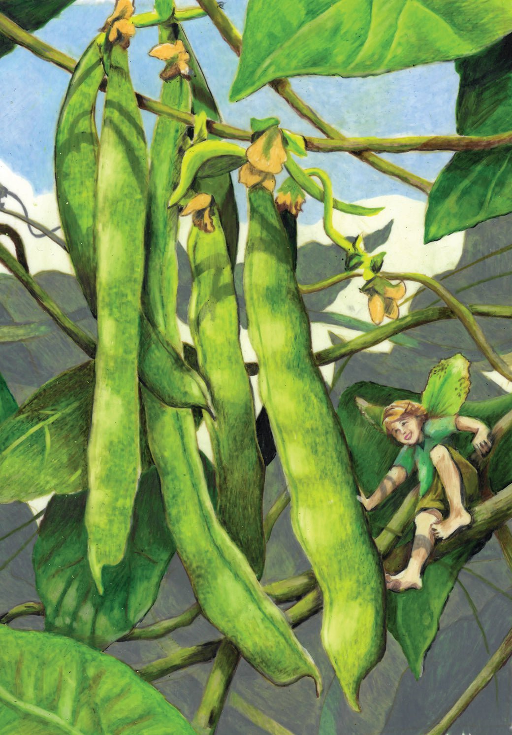 Pole Bean Seeds - Lazy Wife Greasy - Sow True Seed