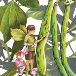 Pole Bean Seeds - Rattlesnake - Sow True Seed