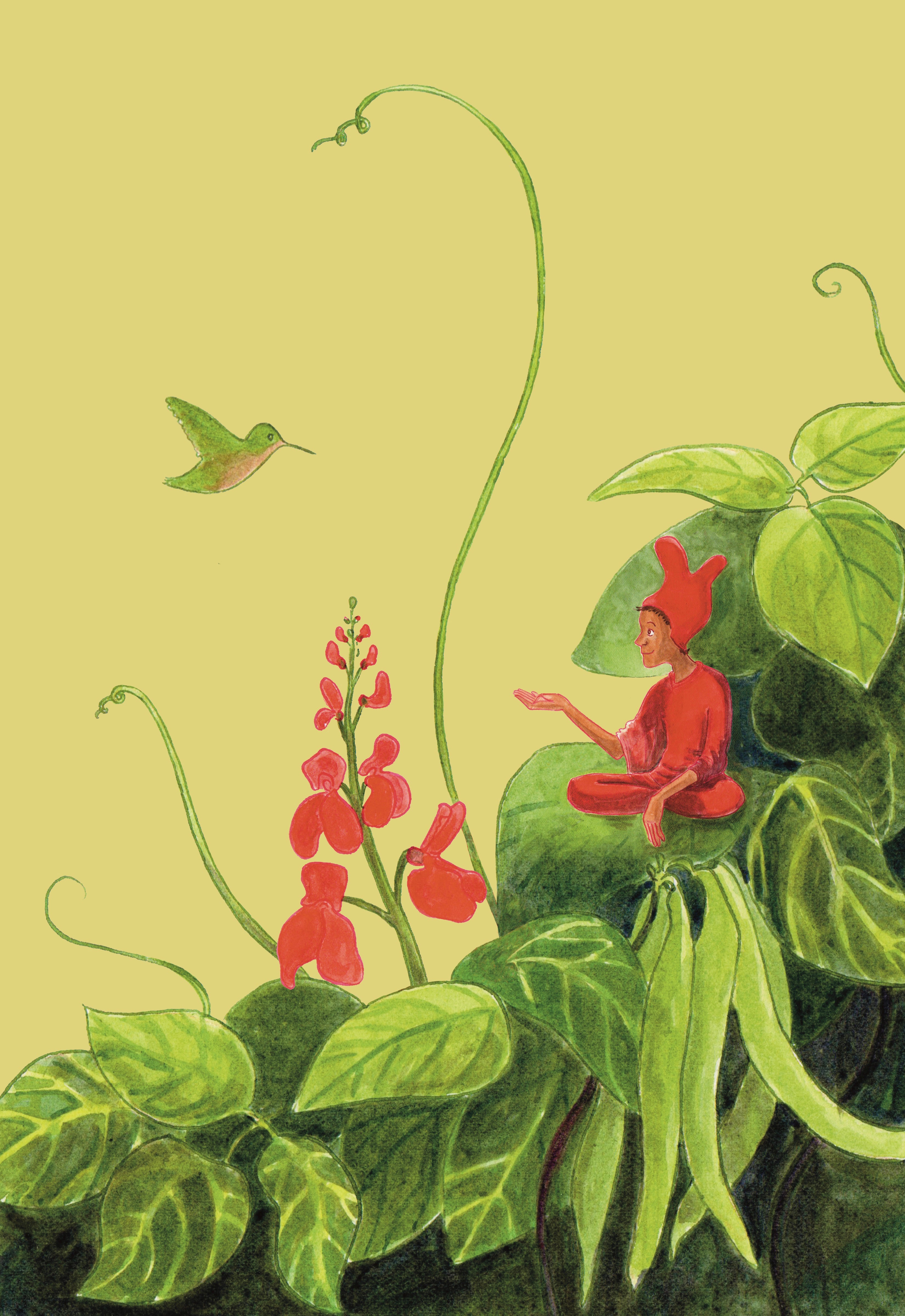 Runner Bean Seeds - Scarlet Emperor - Sow True Seed