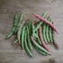 Bush Bean Seeds - Maggie Flowers Six-Week Pink Bunch