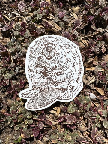 Macon York Stickers - Sow True Seed