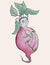 Beet Seeds - Chioggia