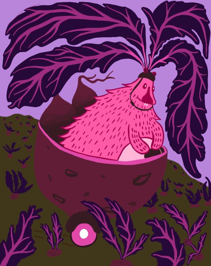 Beet Seeds - Bull's Blood - Sow True Seed