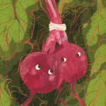 Beet Seeds - Lutz Green Leaf - Sow True Seed