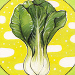 Asian Greens Seeds - Bok Choy - Sow True Seed