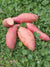Bradshaw Sweet Potato - Sow True Seed