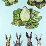 Cabbage Seeds - Early Jersey Wakefield - Sow True Seed