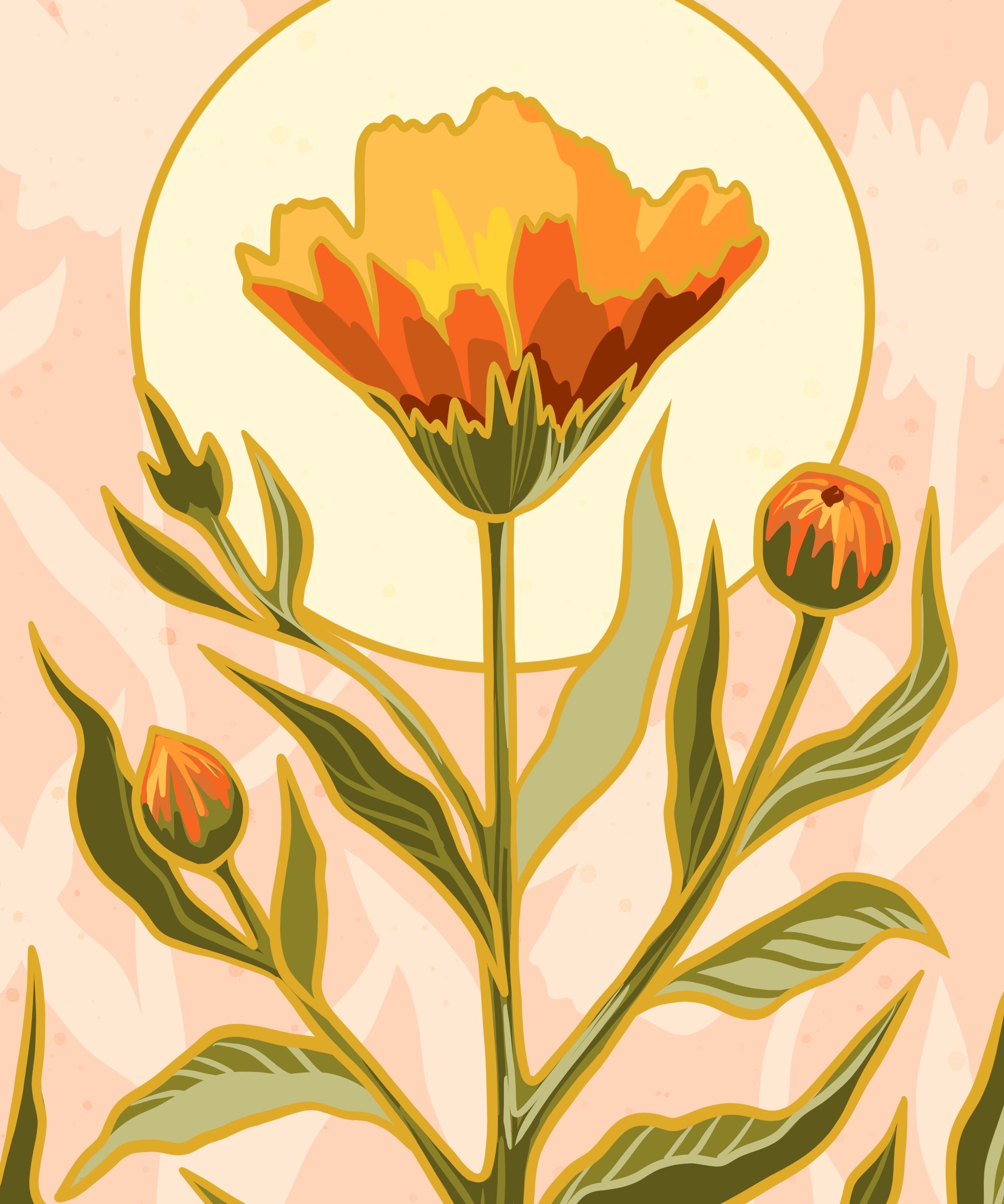 Calendula Seeds - Erfurter Orange - Sow True Seed