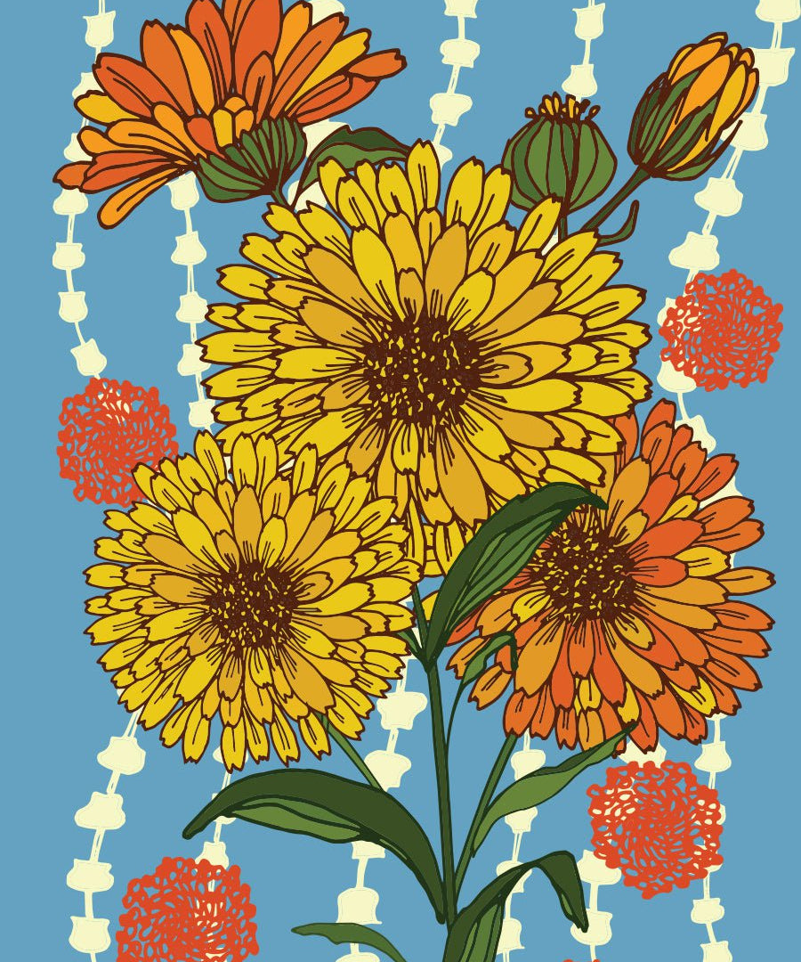 Calendula Seeds - Pacific Beauty - Sow True Seed