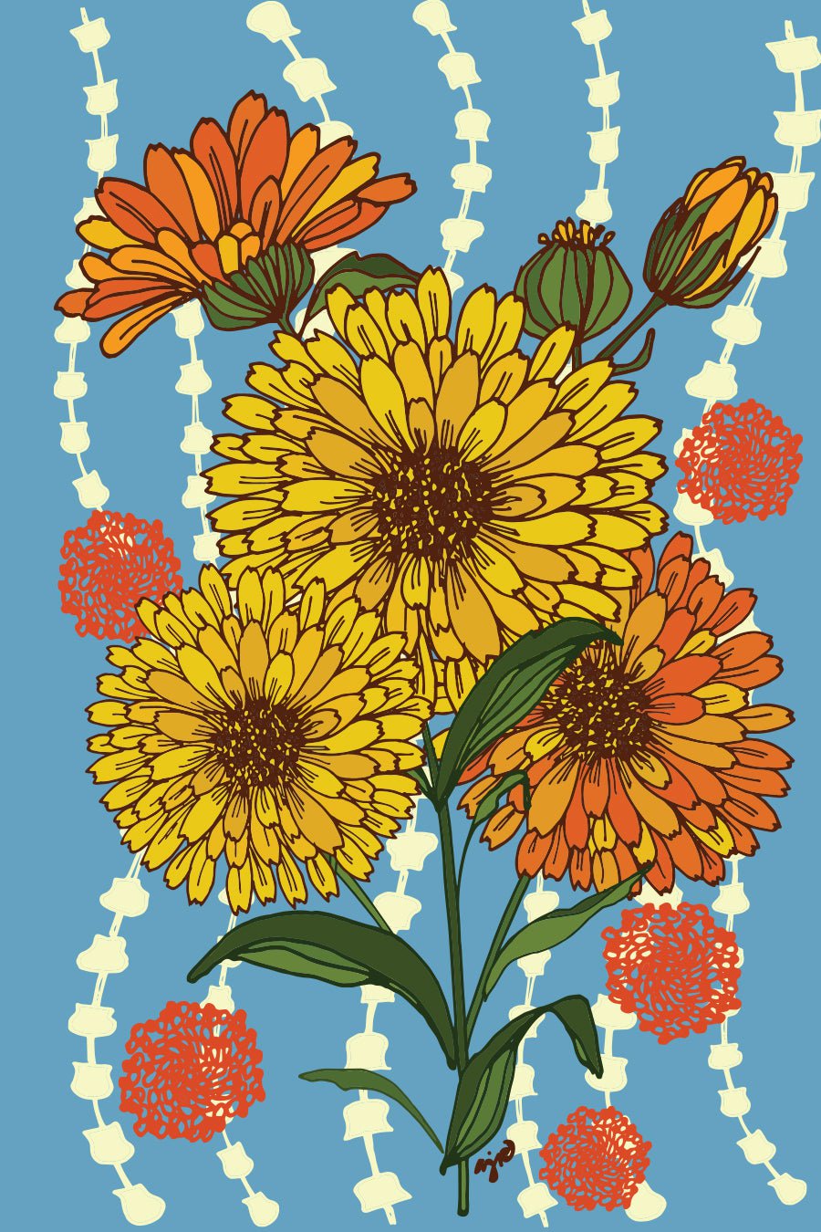 Calendula Seeds - Pacific Beauty - Sow True Seed