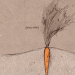 Carrot Seeds - Danvers 126 - Sow True Seed
