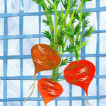 Carrot Seeds - Parisian - Sow True Seed