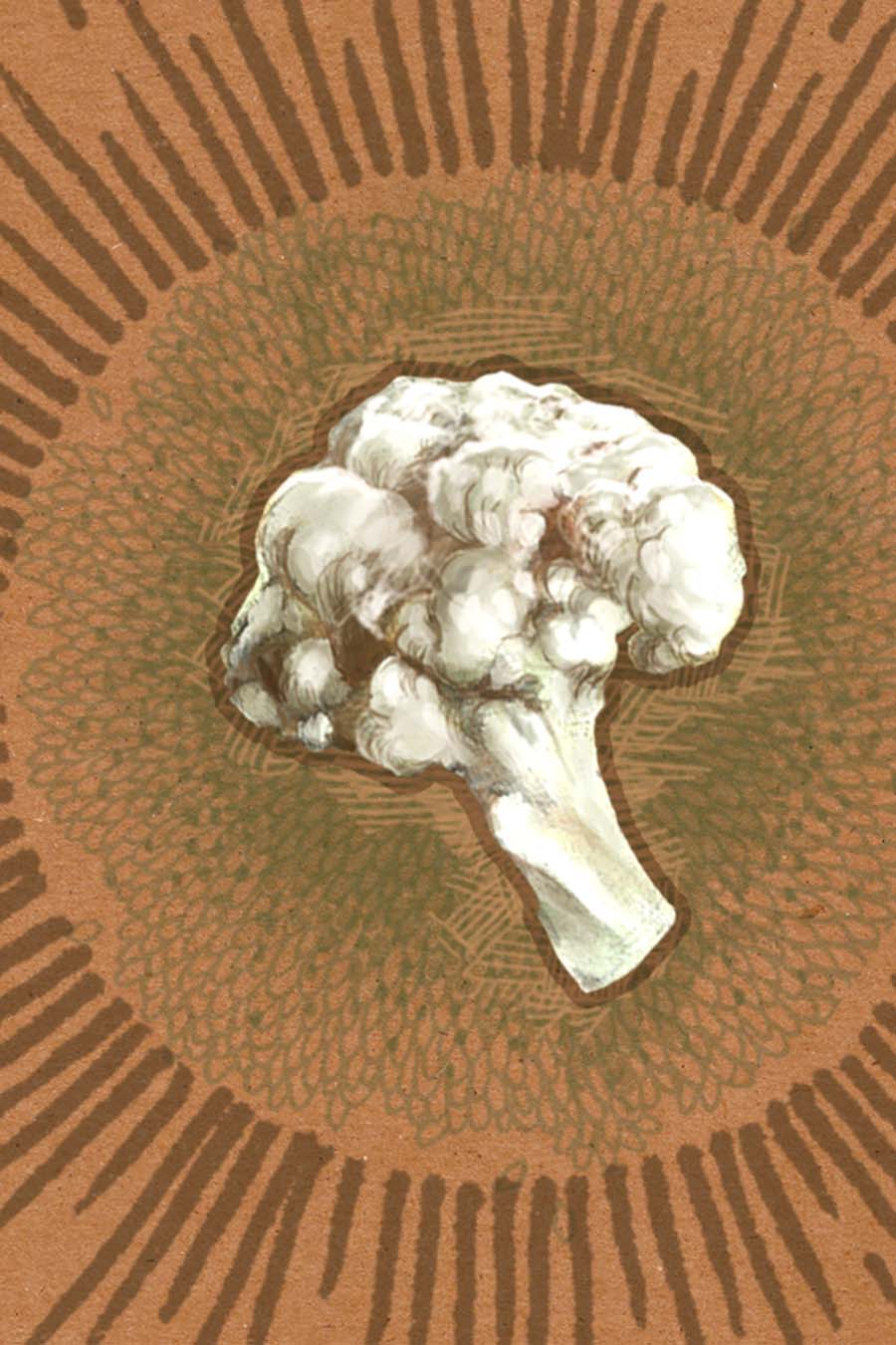 Cauliflower Seeds - Snowball Self-Blanching, ORGANIC - Sow True Seed