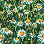 Chamomile Seeds - Roman - Sow True Seed