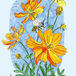 Cosmos Seeds - Bright Lights - Sow True Seed