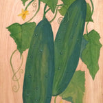 Slicing Cucumber Seeds - Marketmore 76 - Sow True Seed