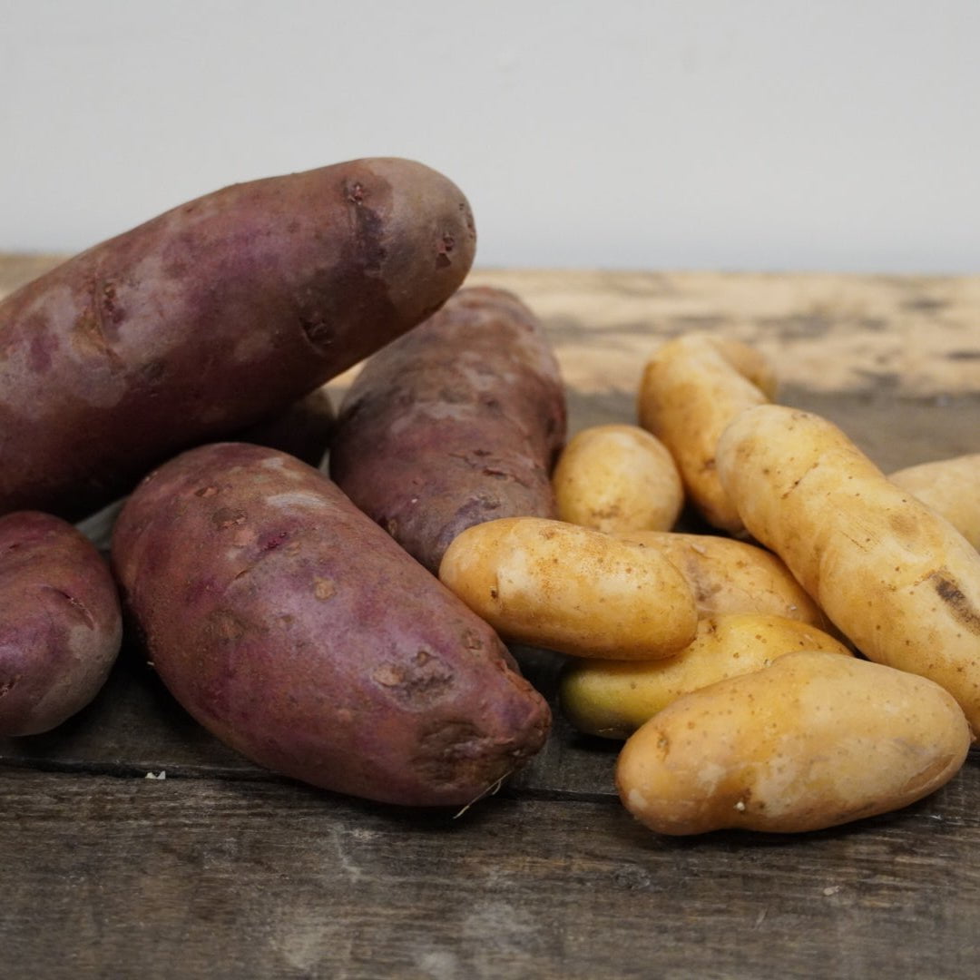 Fingerling Potato Bundle, ORGANIC - Sow True Seed