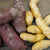 Fingerling Potato Bundle, ORGANIC