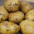 Golden Nugget Potato, ORGANIC