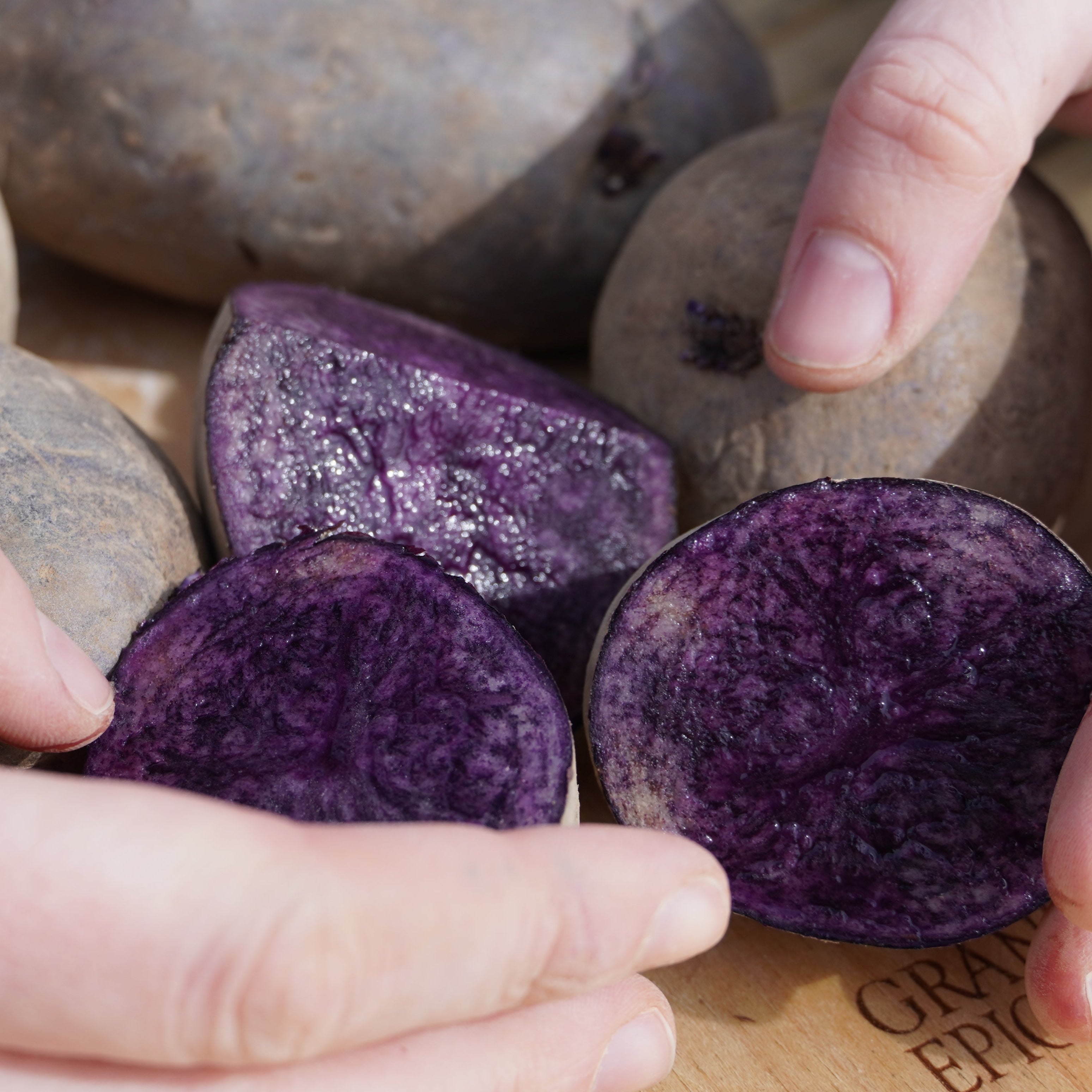 Purple Majesty Potato, ORGANIC - Sow True Seed