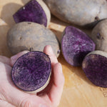 Purple Majesty Potato, ORGANIC - Sow True Seed
