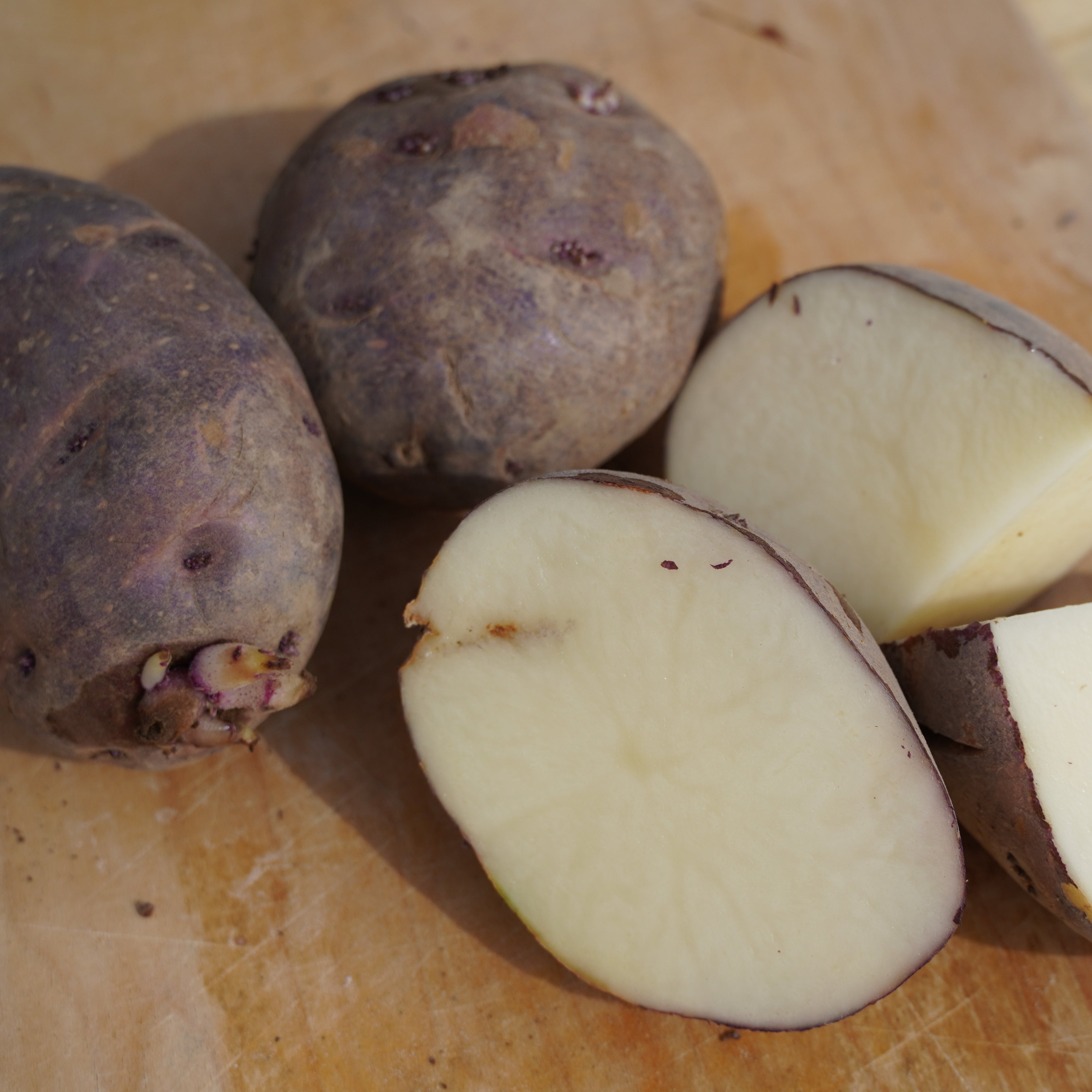 Purple Viking Potato - Sow True Seed