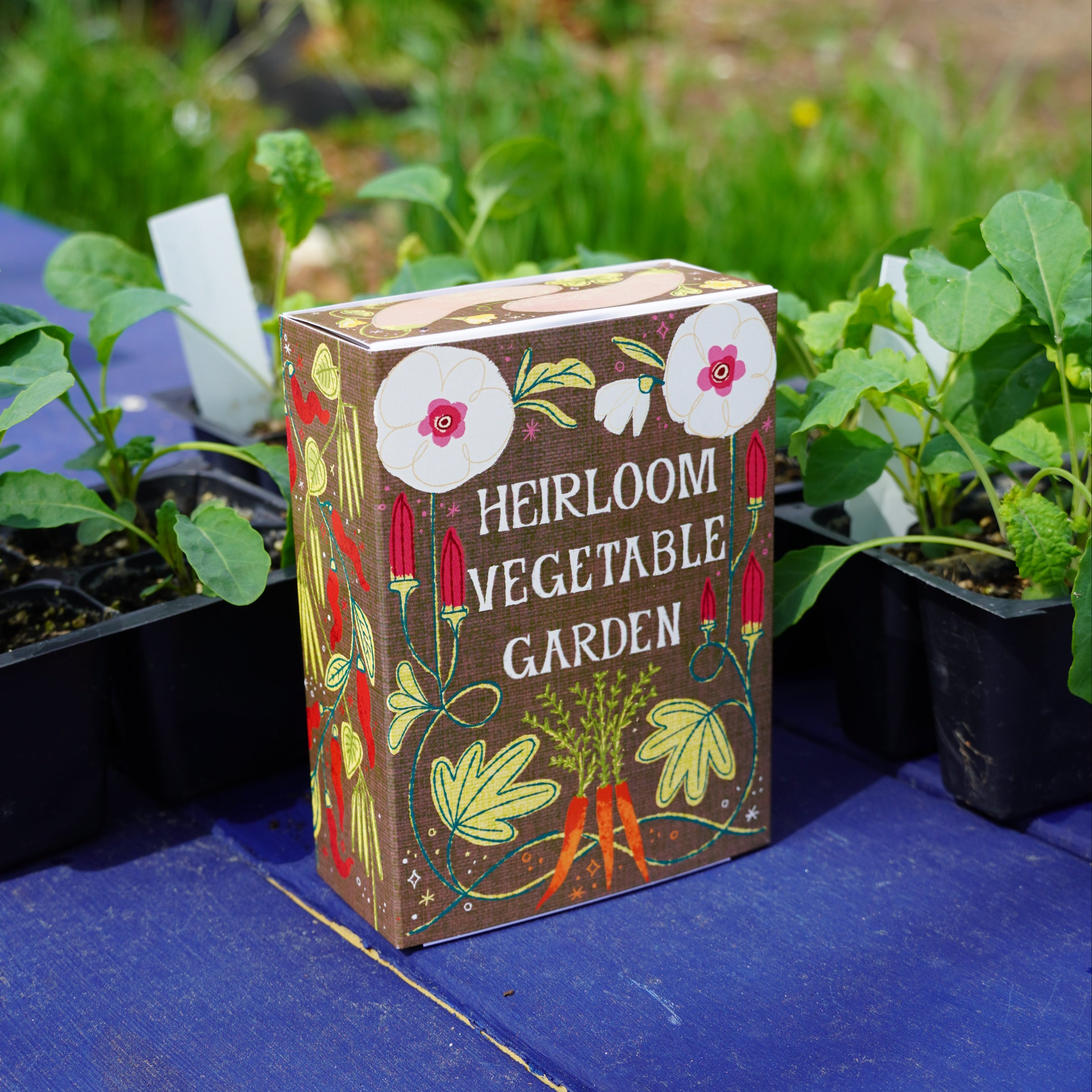Heirloom Vegetable Garden Seed Collection Box - Sow True Seed
