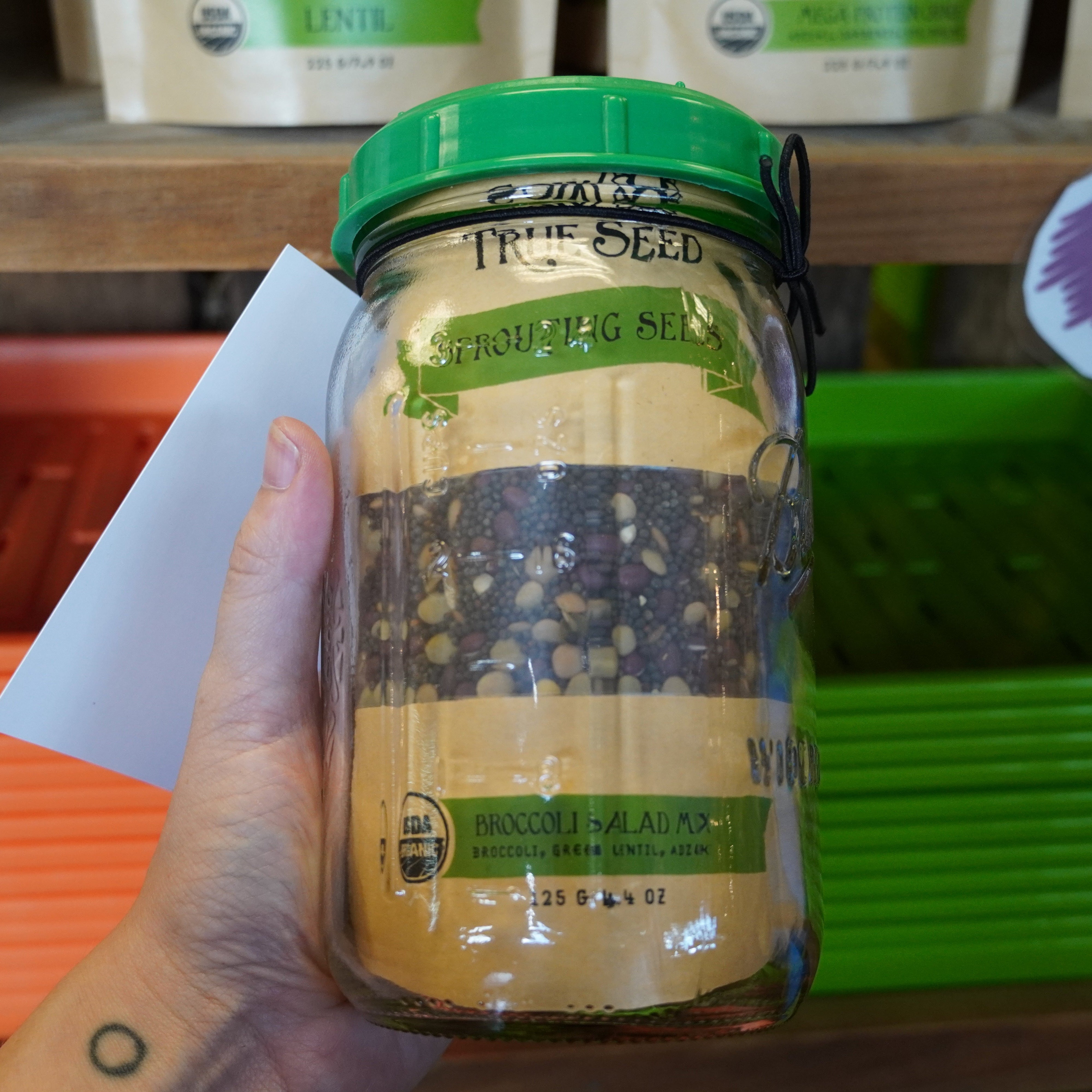 Sprouting Seed Kit, ORGANIC - Sow True Seed