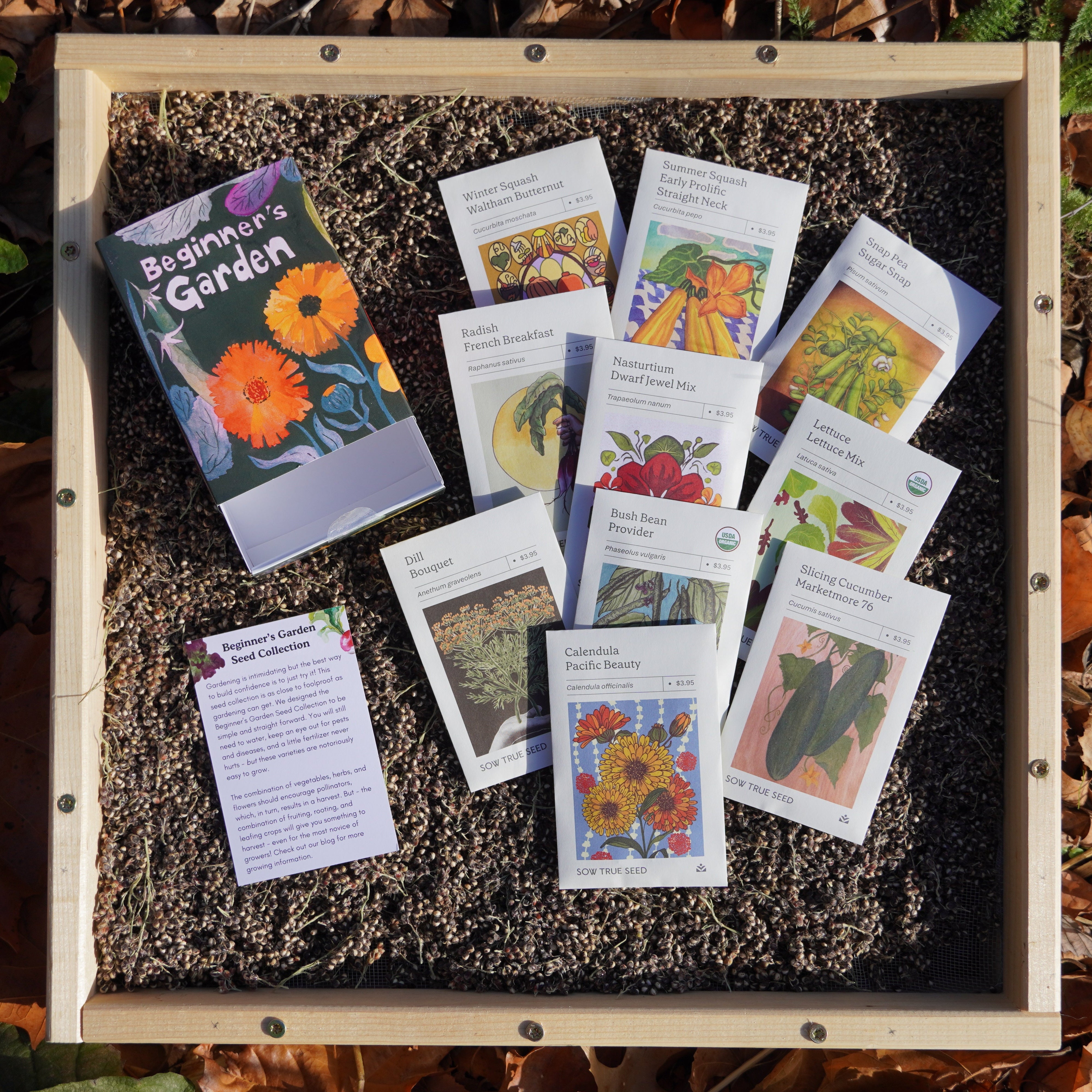 winter garden seeds Beginner's Garden Seed Collection Box