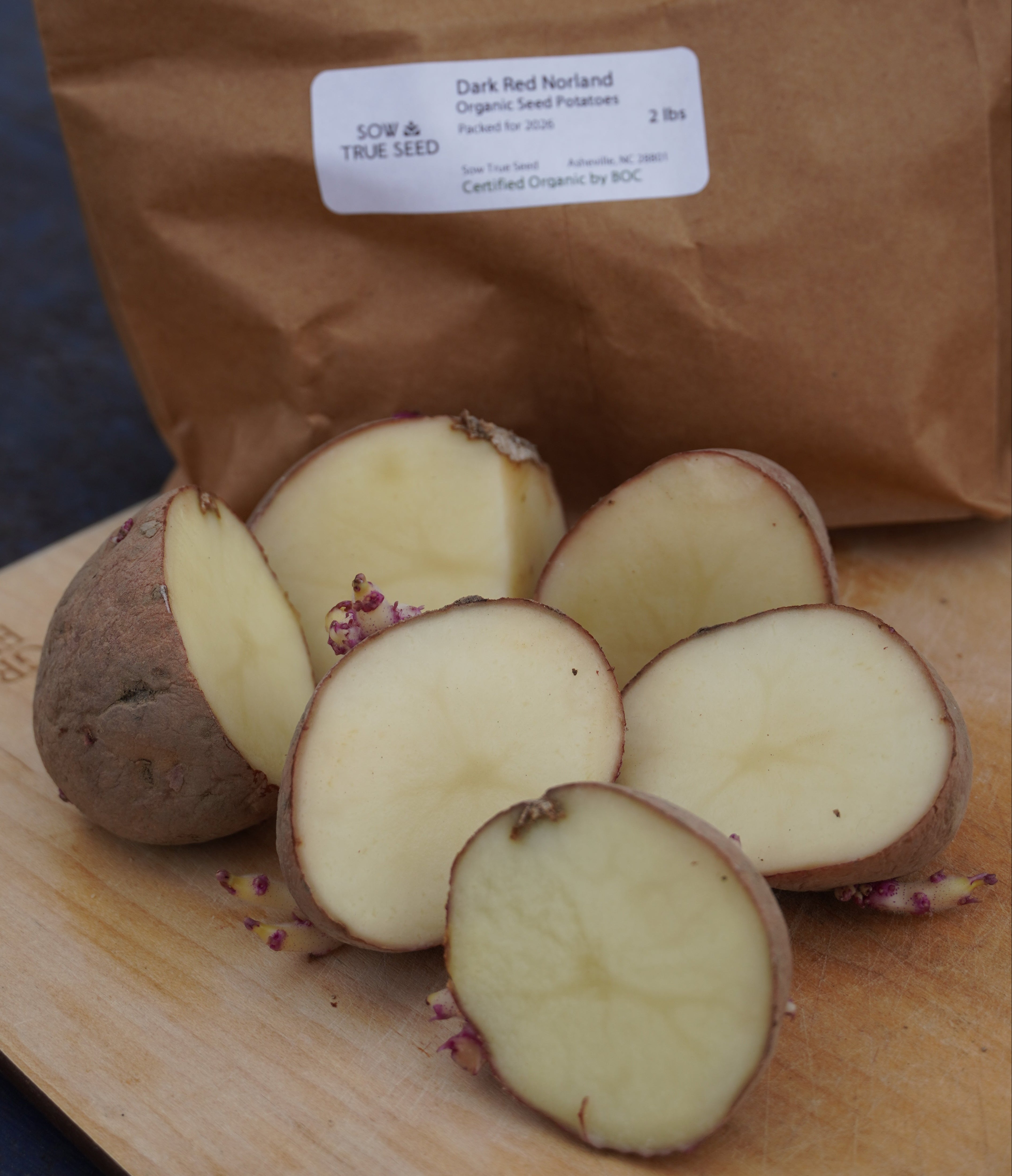 Dark Red Norland Potato, ORGANIC - Sow True Seed