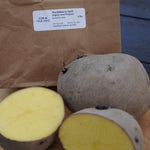 Huckleberry Gold Potato, ORGANIC - Sow True Seed
