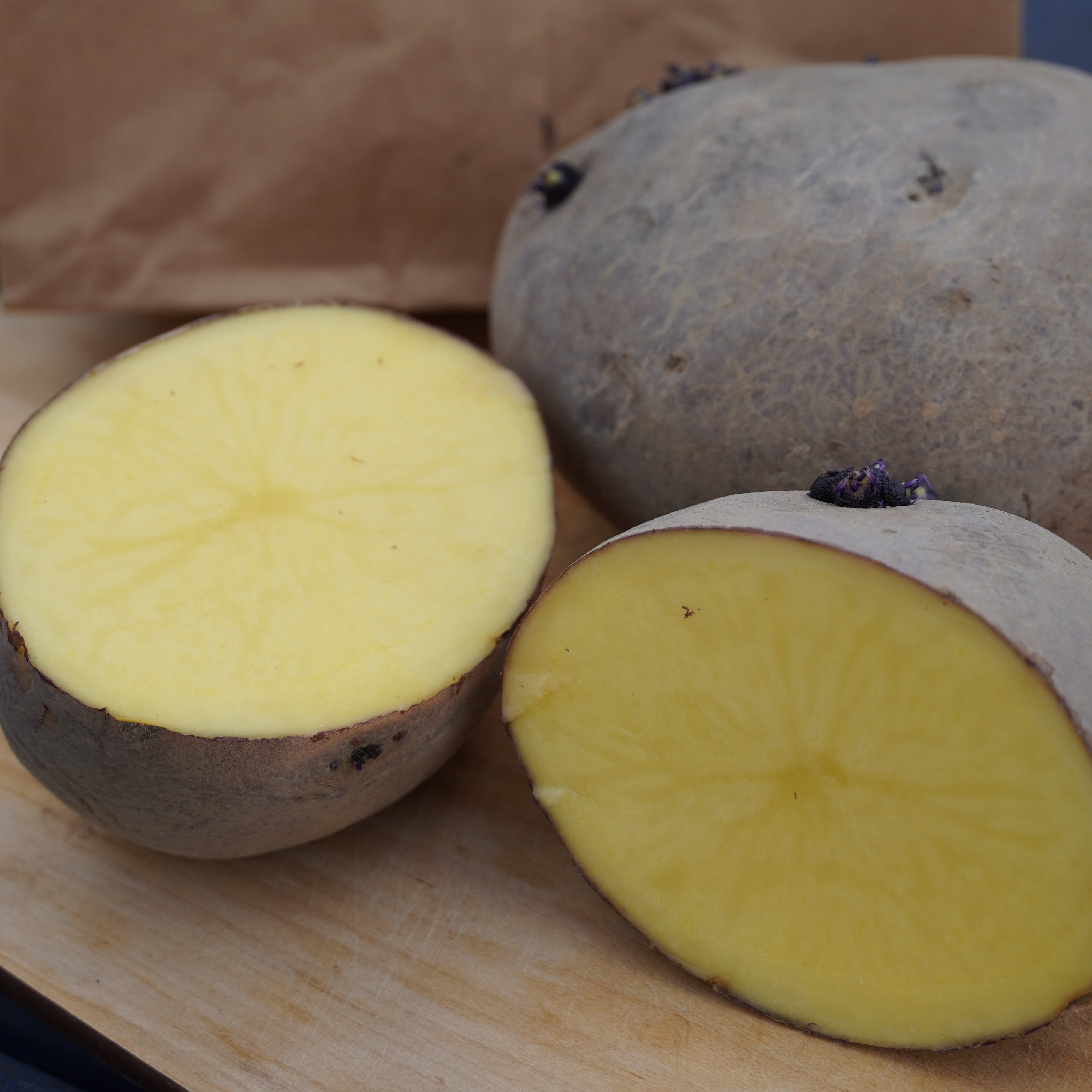 Huckleberry Gold Potato, ORGANIC - Sow True Seed