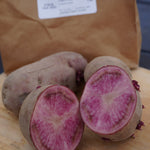 Terra Rosa Potato, ORGANIC - Sow True Seed